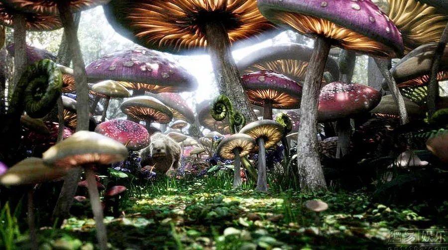 探索发现-什么是抑郁主要表现,应该如何判断?吉鹿力问答社区